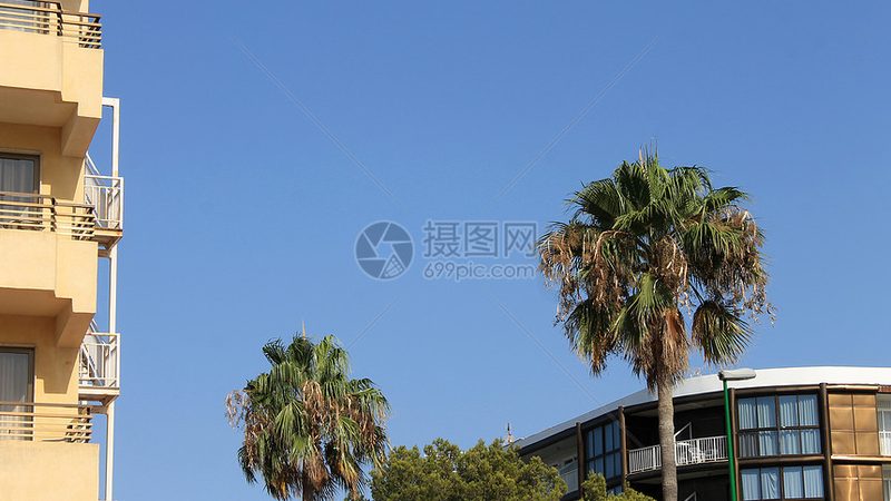 森林度假村怎么订才不花冤枉钱